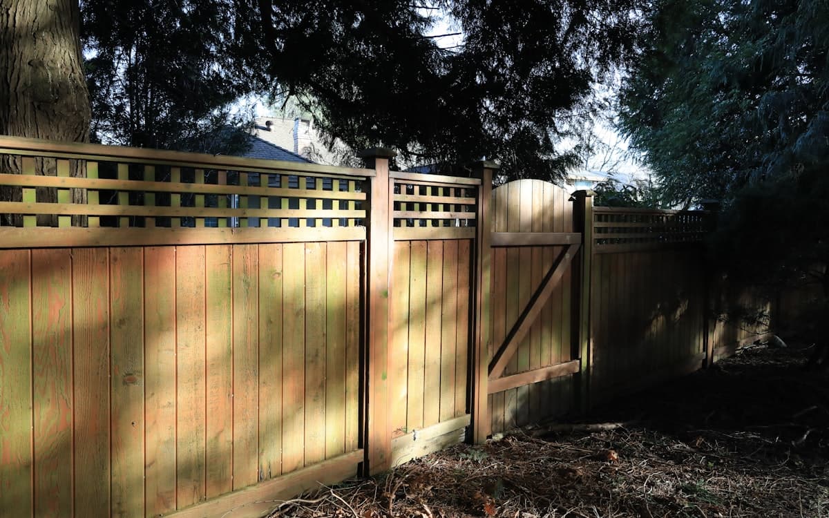 A new wooden fence and gate along a sunlit property line